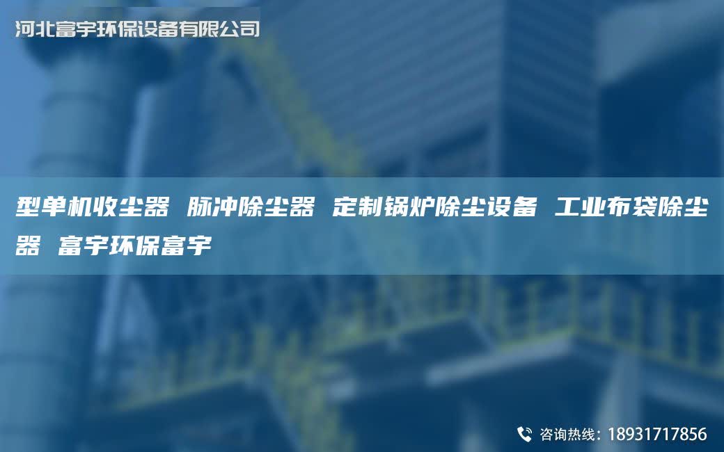 型单机收尘器 脉冲除尘器 定制锅炉除尘设备 工业布袋除尘器 富宇环保富宇