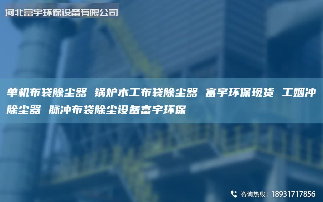 单机布袋除尘器 锅炉木工布袋除尘器 富宇环保现货 工姻冲除尘器 脉冲布袋除尘设备富宇环保