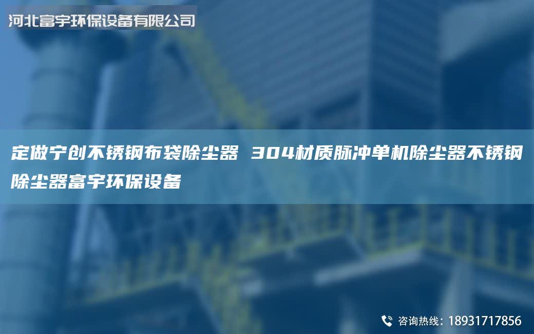 定做宁创不锈钢布袋除尘器 304材质脉冲单机除尘器不锈钢除尘器富宇环保设备