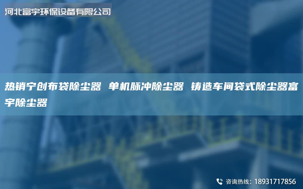 热销宁创布袋除尘器 单机脉冲除尘器 铸造车间袋式除尘器富宇除尘器