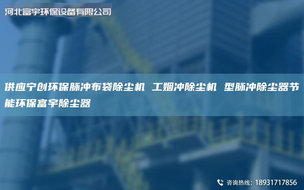 供应宁创环保脉冲布袋除尘机 工姻冲除尘机 型脉冲除尘器节能环保富宇除尘器