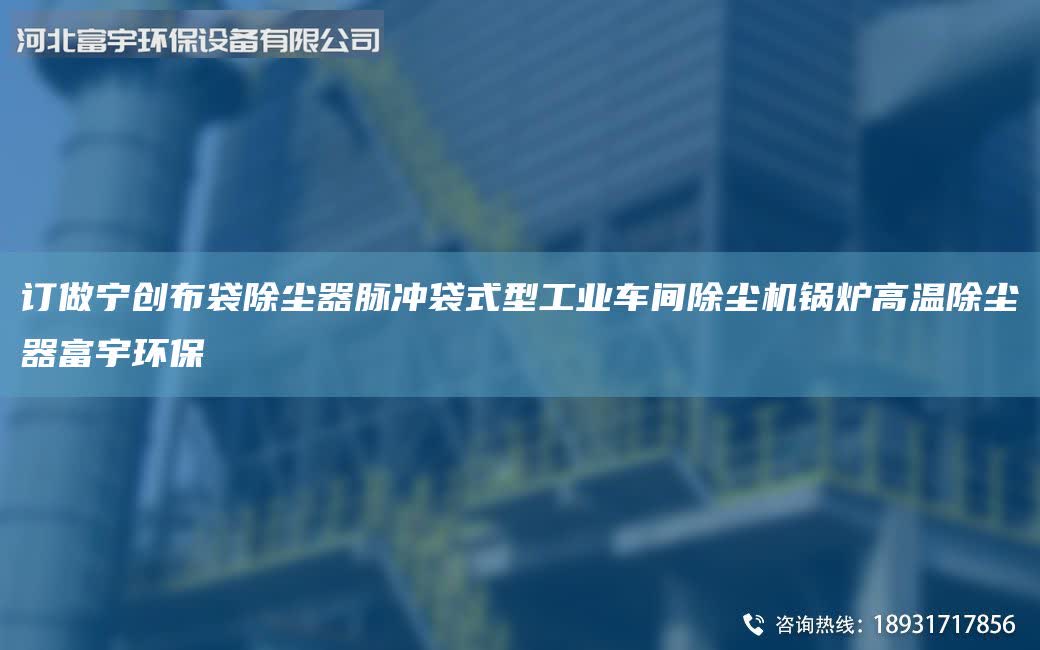订做宁创布袋除尘器脉冲袋式型工业车间除尘机锅炉高温除尘器富宇环保