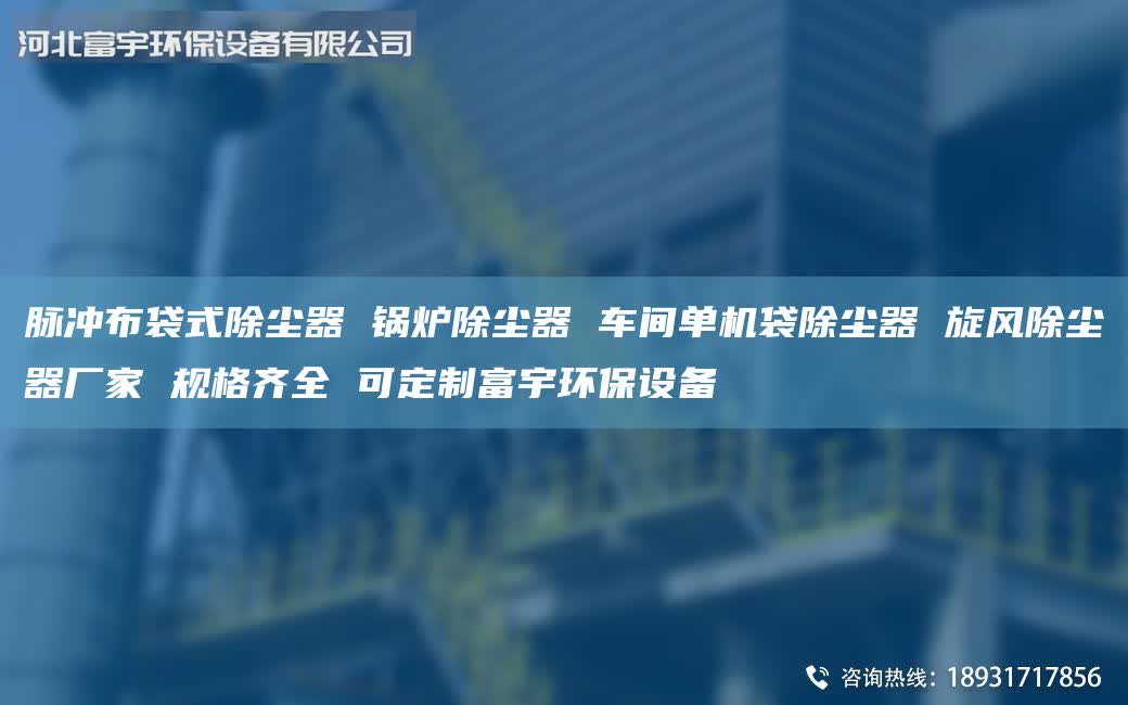 脉冲布袋式除尘器 锅炉除尘器 车间单机袋除尘器 旋风除尘器厂家 规格齐全 可定制富宇环保设备