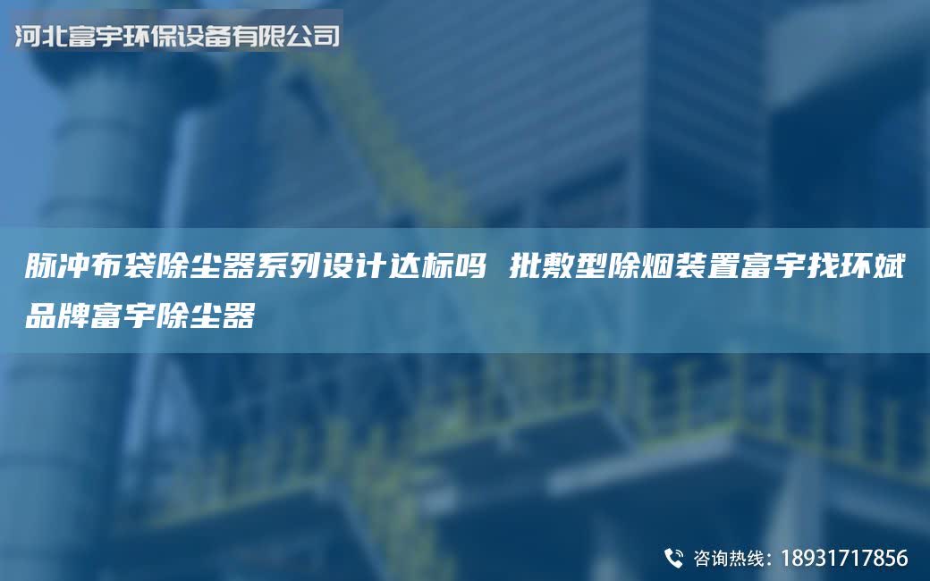 脉冲布袋除尘器系列设计达标吗 批敷型除烟装置富宇找环斌PP富宇除尘器