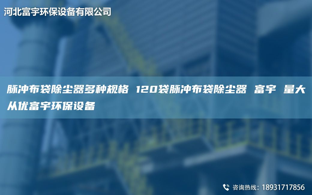 脉冲布袋除尘器多种规格 120袋脉冲布袋除尘器 富宇 量大从优富宇环保设备