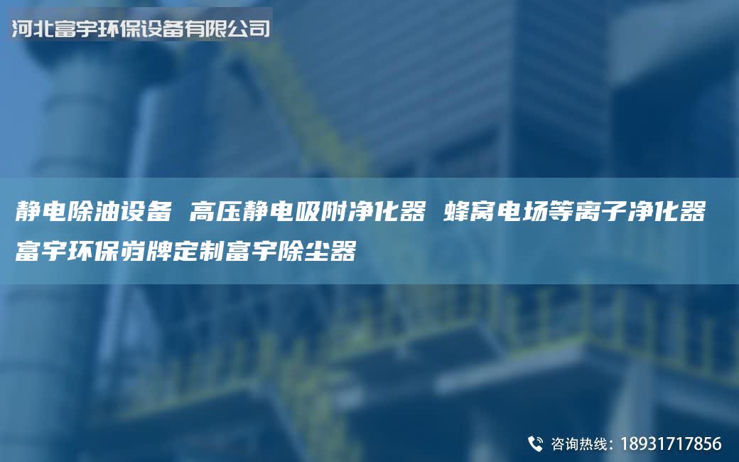 静电除油设备 高压静电吸附净化器 蜂窝电场等离子净化器 富宇环保岿牌定制富宇除尘器