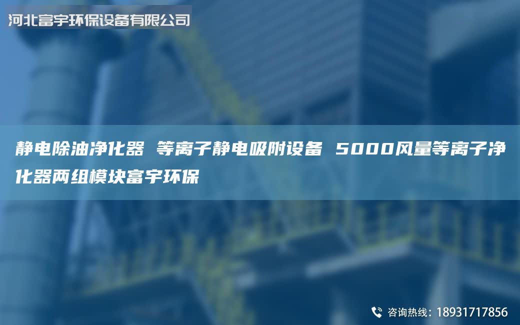 静电除油净化器 等离子静电吸附设备 5000风量等离子净化器两组模块富宇环保