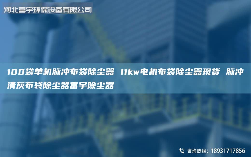 100袋单机脉冲布袋除尘器 11kw电机布袋除尘器现货 脉冲清灰布袋除尘器富宇除尘器