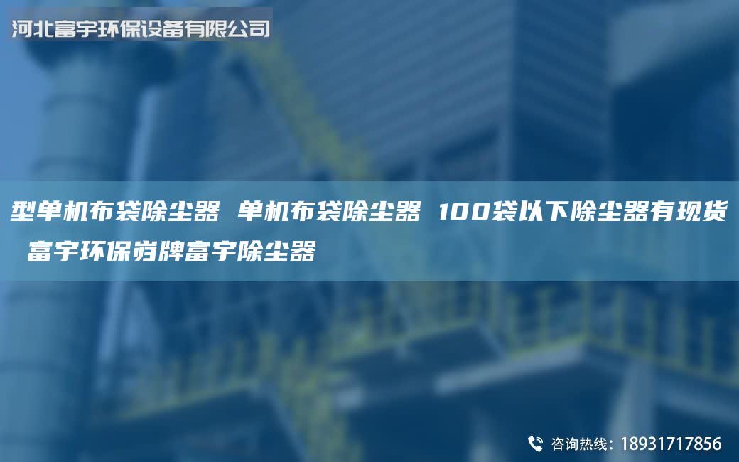 型单机布袋除尘器 单机布袋除尘器 100袋以下除尘器有现货 富宇环保岿牌富宇除尘器