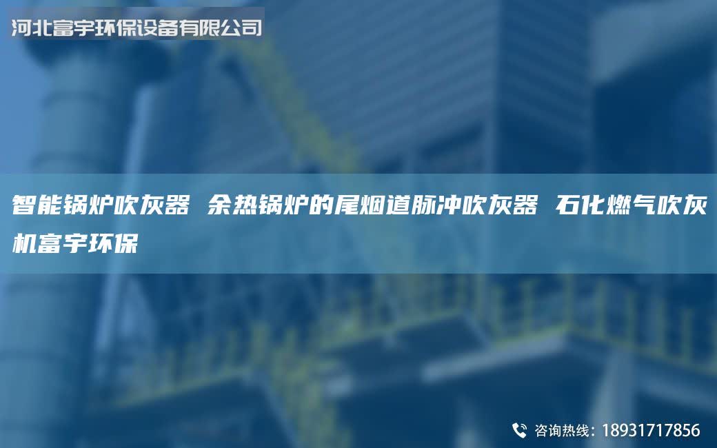 智能锅炉吹灰器 余热锅炉的尾烟道脉冲吹灰器 石化燃气吹灰机富宇环保