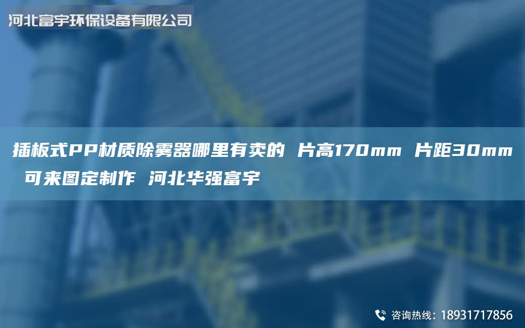 插板式PP材质除雾器哪里有卖的 片高170mm 片距30mm 可来图定制作 河北华强富宇