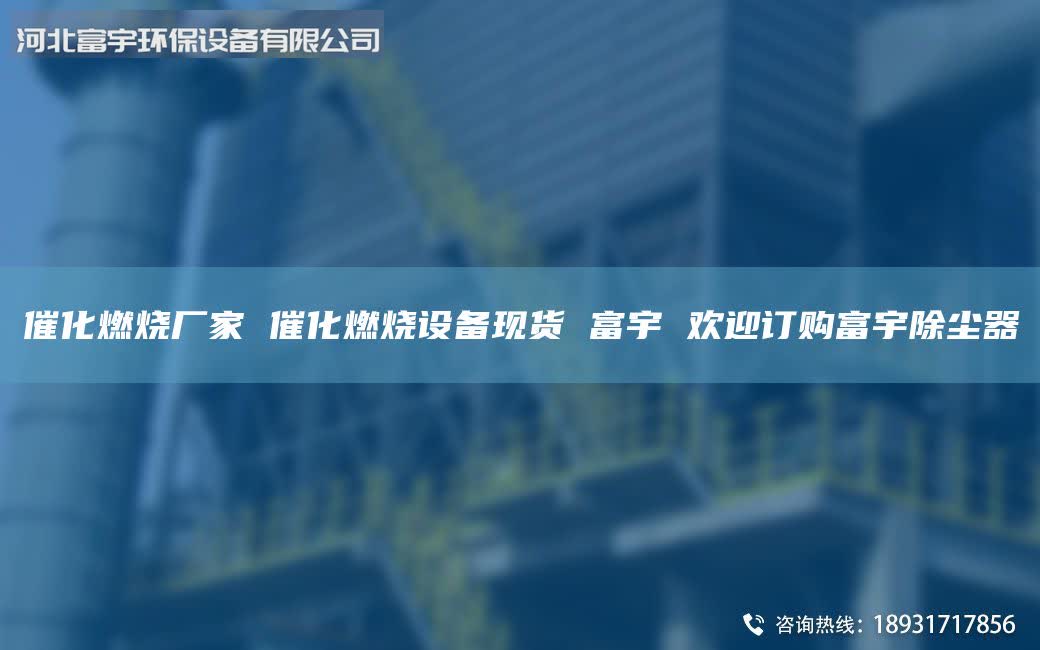 催化燃烧厂家 催化燃烧设备现货 富宇 欢迎订购富宇除尘器