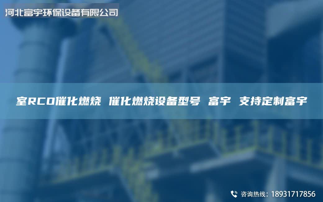 室RCO催化燃烧 催化燃烧设备型号 富宇 支持定制富宇