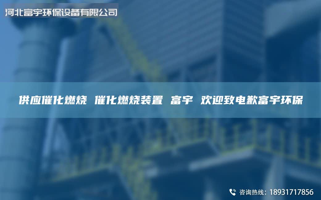 供应催化燃烧 催化燃烧装置 富宇 欢迎致电歉富宇环保