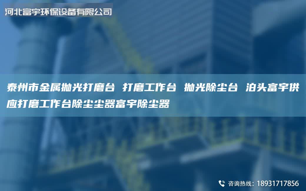 泰州市金属抛光打磨TA-I 打磨工作TA-I 抛光除尘TA-I 泊头富宇供应打磨工作TA-I除尘尘器富宇除尘器