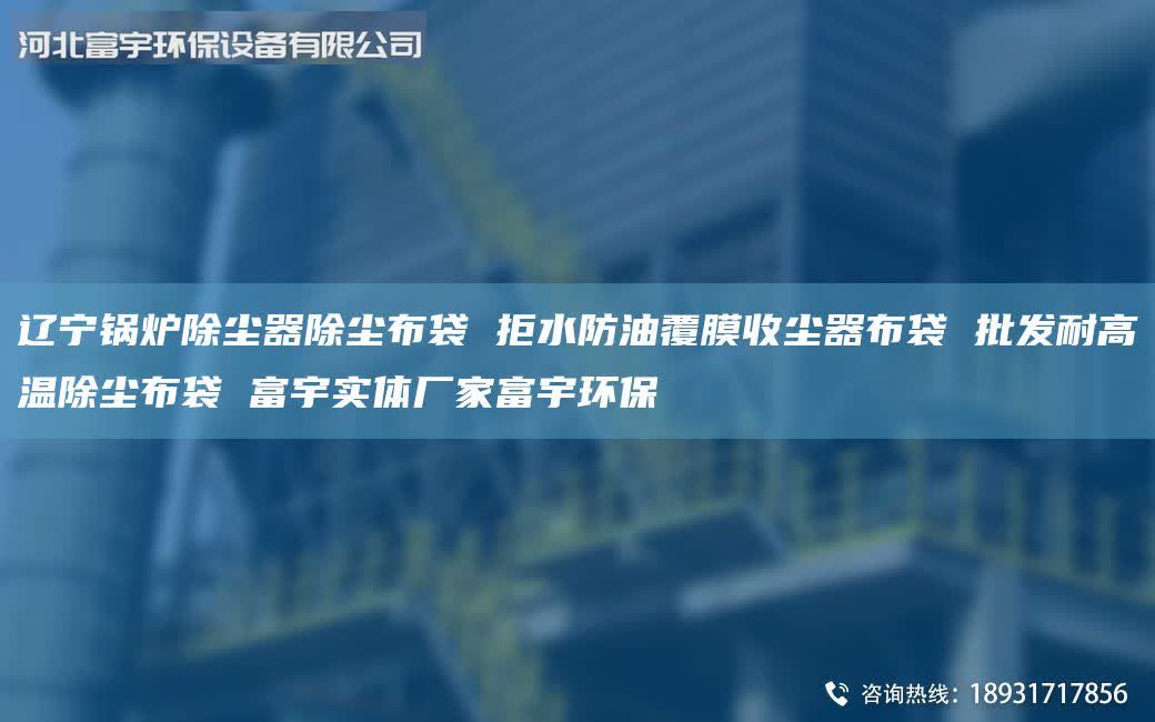 辽宁锅炉除尘器除尘布袋 拒水防油覆膜收尘器布袋 批发耐高温除尘布袋 富宇实体厂家富宇环保