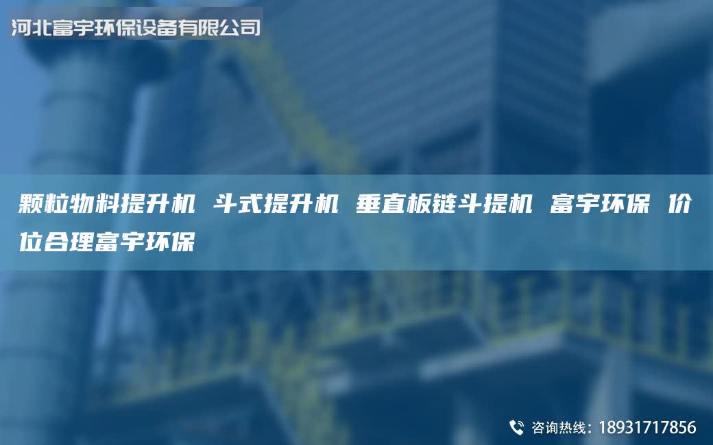 颗粒物料提升机 斗式提升机 垂直板链斗提机 富宇环保 价位合理富宇环保