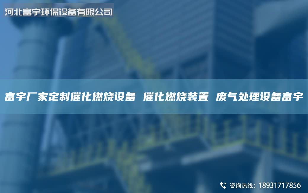 富宇厂家定制催化燃烧设备 催化燃烧装置 废气处理设备富宇