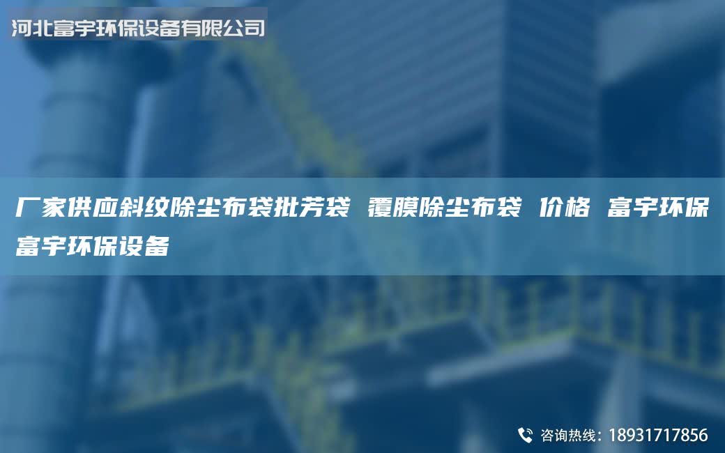 厂家供应斜纹除尘布袋批芳袋 覆膜除尘布袋 价格 富宇环保富宇环保设备