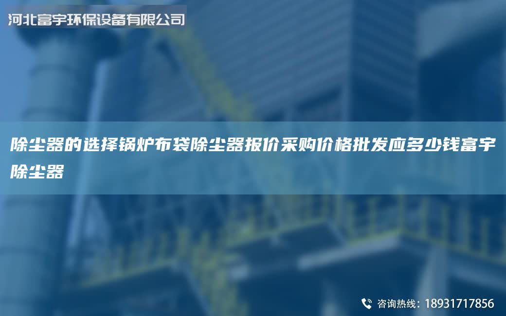 除尘器的选择锅炉布袋除尘器报价采购价格批发应多少钱富宇除尘器
