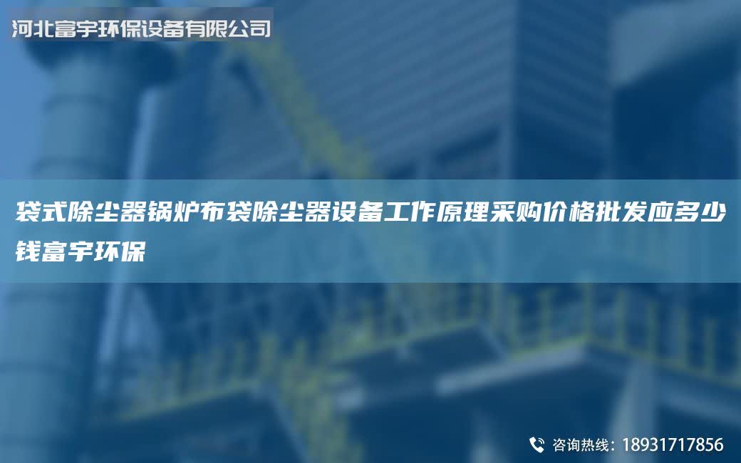 袋式除尘器锅炉布袋除尘器设备工作原理采购价格批发应多少钱富宇环保