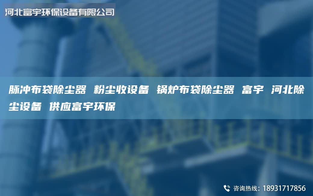脉冲布袋除尘器 粉尘收设备 锅炉布袋除尘器 富宇 河北除尘设备 供应富宇环保