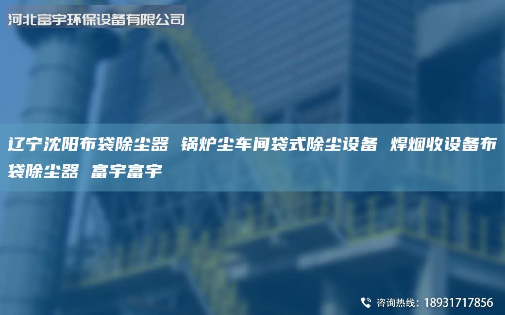 辽宁沈阳布袋除尘器 锅炉尘车间袋式除尘设备 焊烟收设备布袋除尘器 富宇富宇
