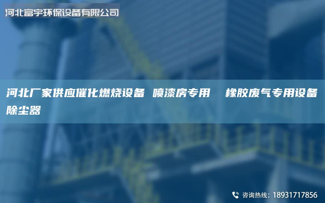 河北厂家供应催化燃烧设备 喷漆房专用  橡胶废气专用设备除尘器