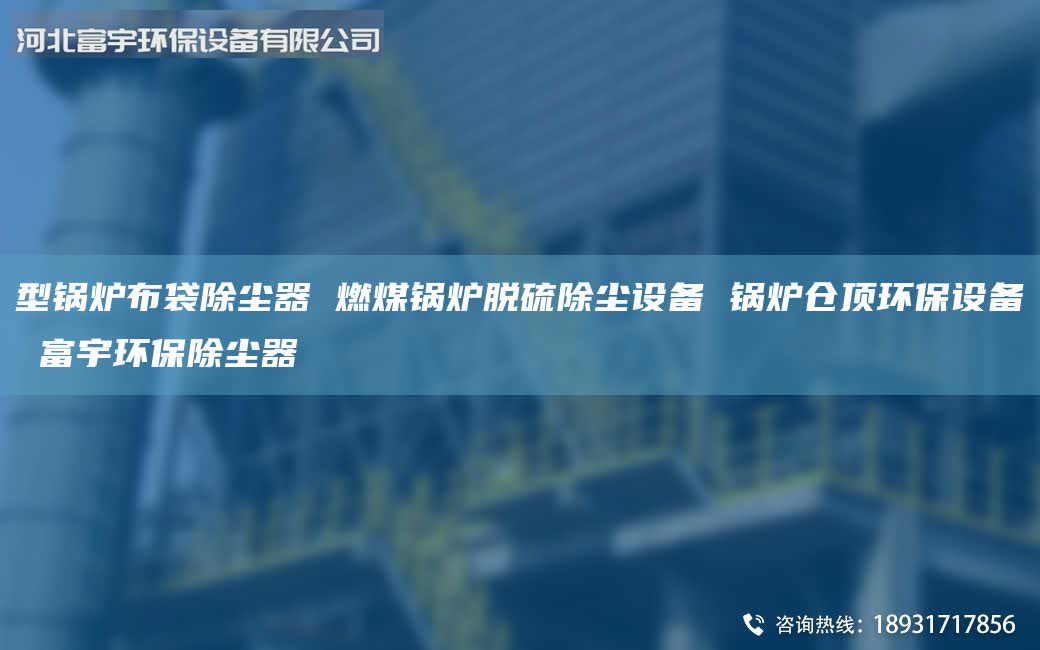 型锅炉布袋除尘器 燃煤锅炉脱硫除尘设备 锅炉仓顶环保设备 富宇环保除尘器