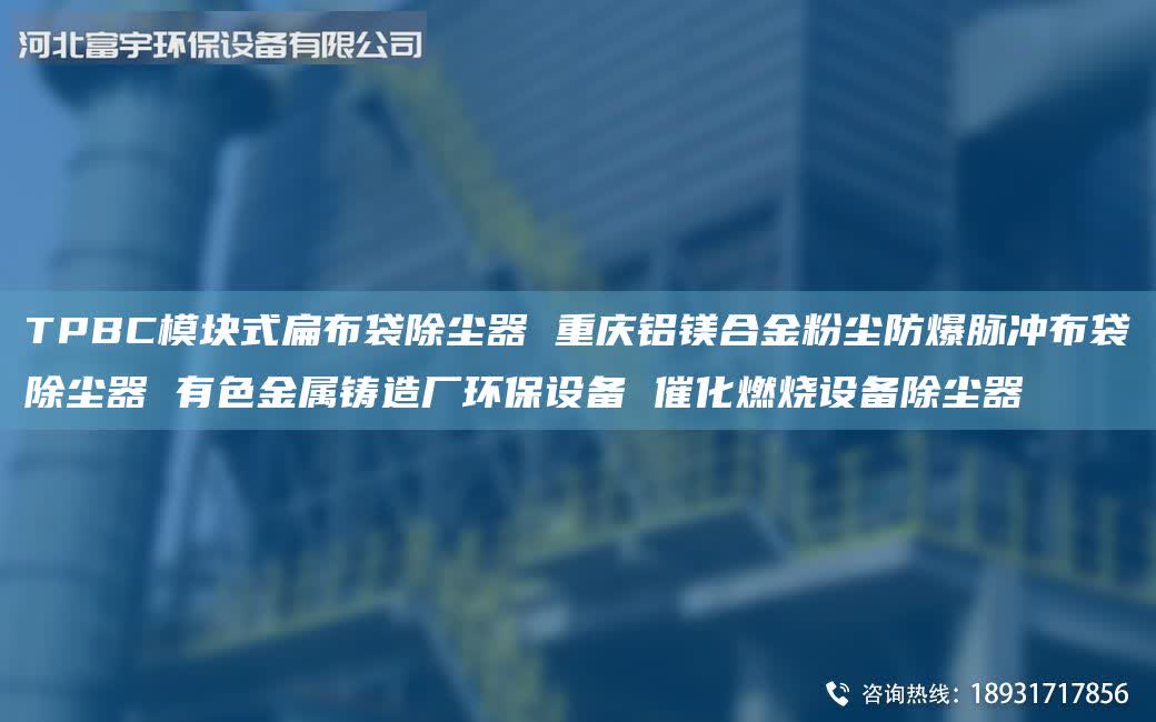 TPBC模块式扁布袋除尘器 重庆铝镁合金粉尘防爆脉冲布袋除尘器 有色金属铸造厂环保设备 催化燃烧设备除尘器