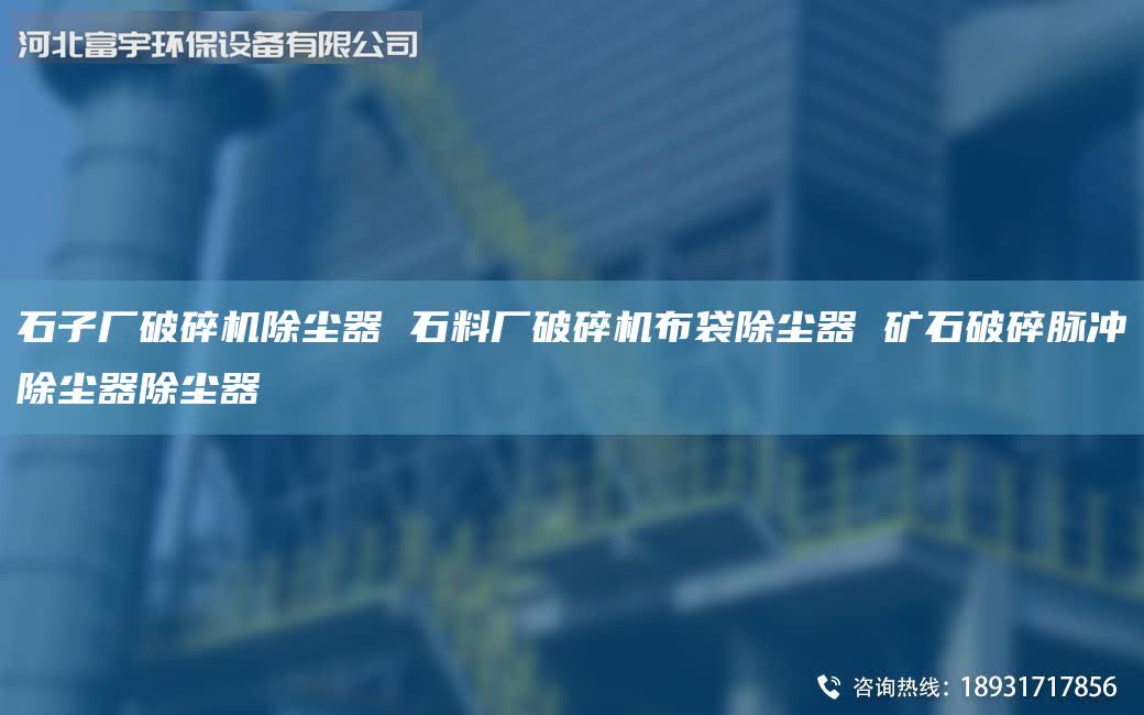 石子厂破碎机除尘器 石料厂破碎机布袋除尘器 矿石破碎脉冲除尘器除尘器