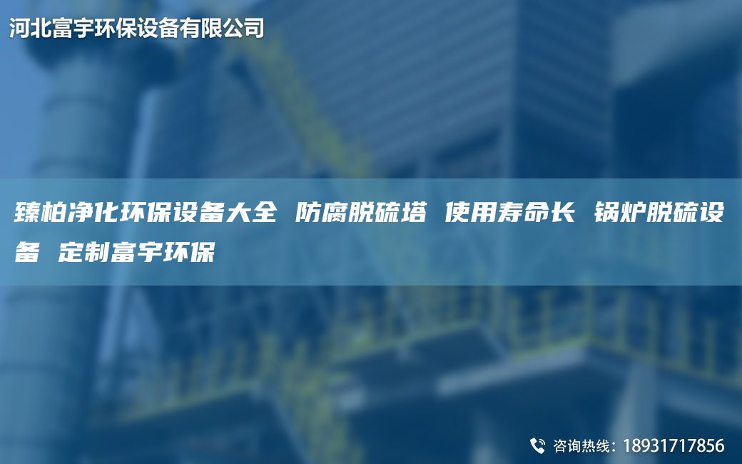 臻柏净化环保设备大全 防腐脱硫塔 使用寿命长 锅炉脱硫设备 定制富宇环保