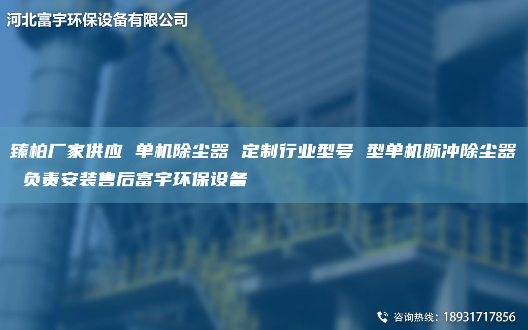 臻柏厂家供应 单机除尘器 定制行业型号 型单机脉冲除尘器 负责安装售后富宇环保设备