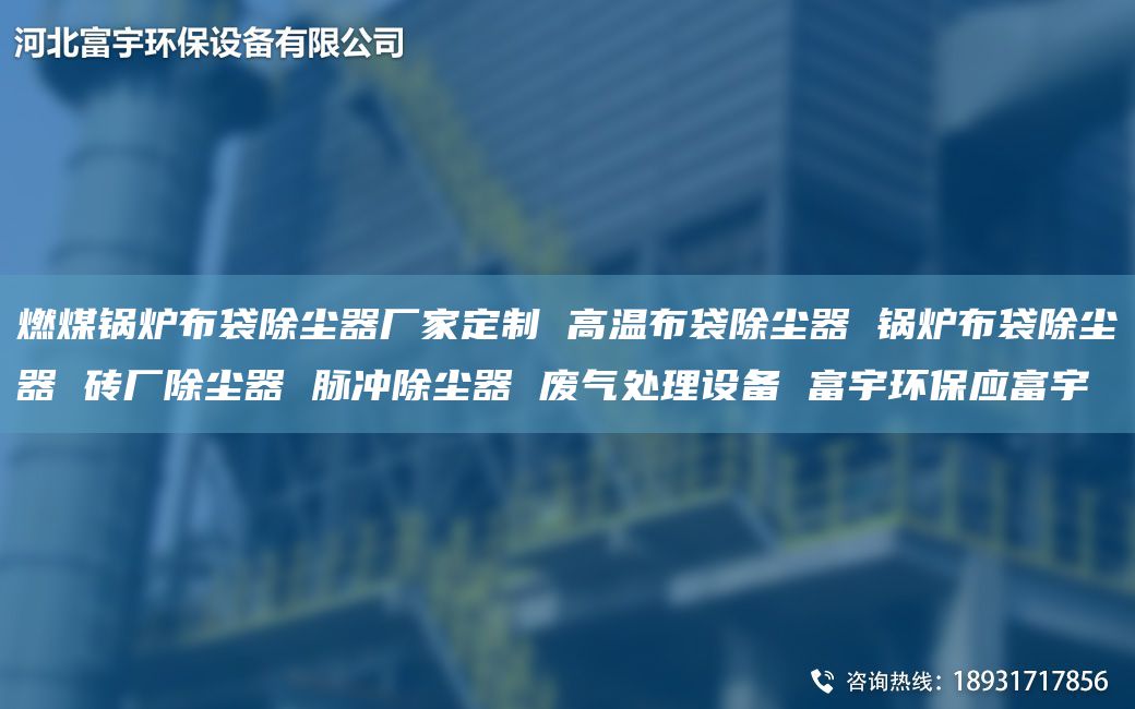 燃煤锅炉布袋除尘器厂家定制 高温布袋除尘器 锅炉布袋除尘器 砖厂除尘器 脉冲除尘器 废气处理设备 富宇环保应富宇