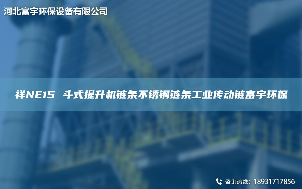 祥NE15 斗式提升机链条不锈钢链条工业传动链富宇环保