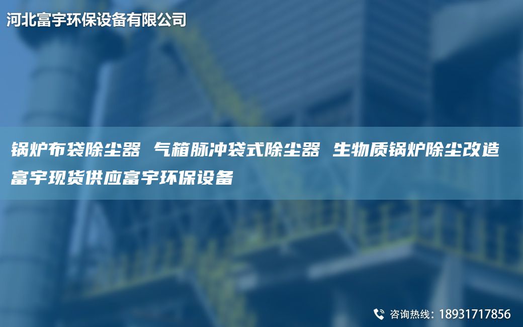 锅炉布袋除尘器 气箱脉冲袋式除尘器 生物质锅炉除尘改造 富宇现货供应富宇环保设备