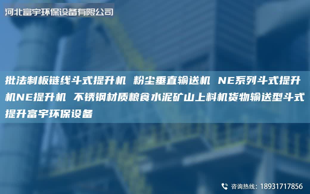 批法制板链线斗式提升机 粉尘垂直输送机 NE系列斗式提升机NE提升机 不锈钢材质粮食水泥矿山上料机货物输送型斗式提升富宇环保设备