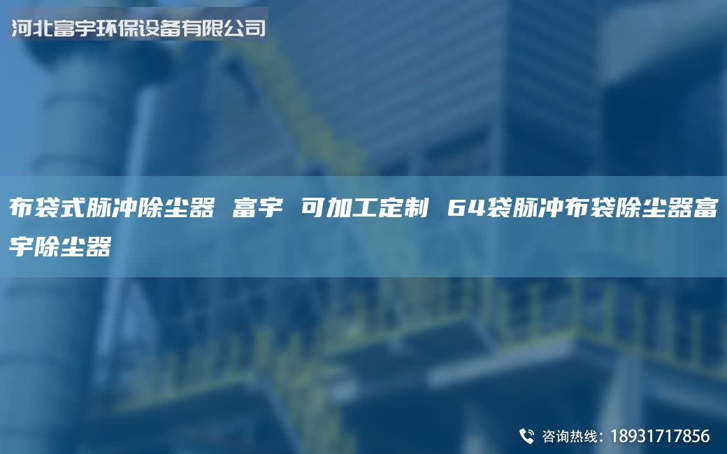 布袋式脉冲除尘器 富宇 可加工定制 64袋脉冲布袋除尘器富宇除尘器