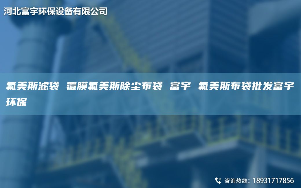 氟美斯滤袋 覆膜氟美斯除尘布袋 富宇 氟美斯布袋批发富宇环保