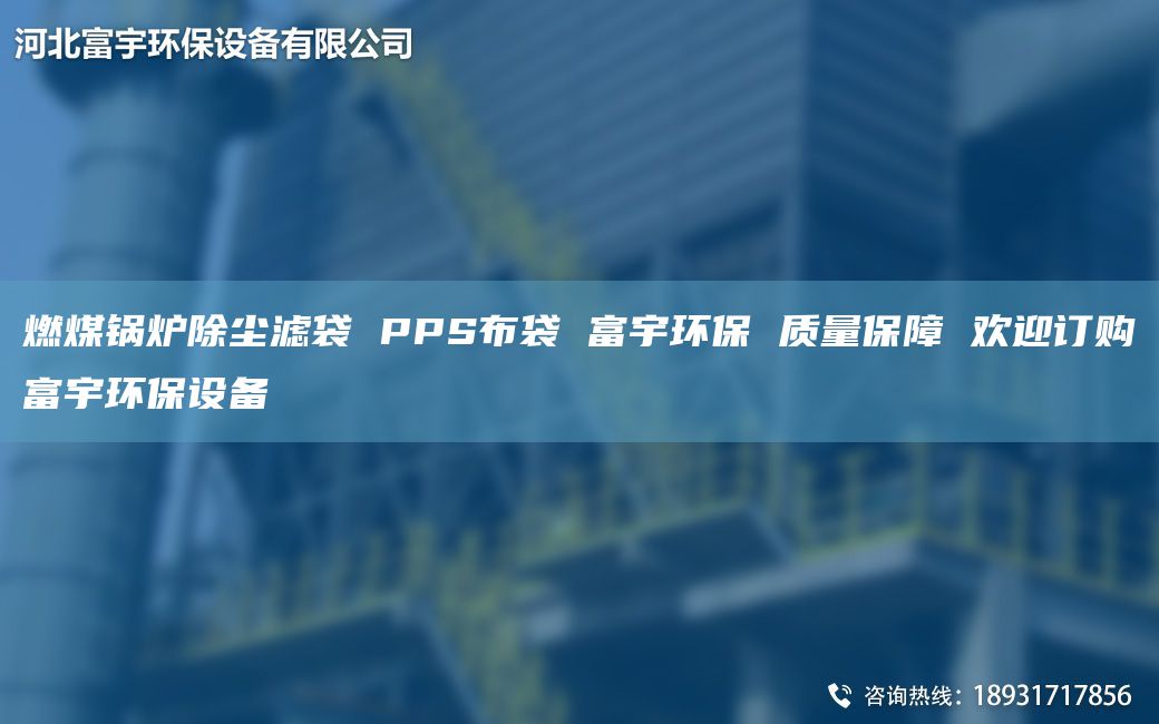 燃煤锅炉除尘滤袋 PPS布袋 富宇环保 质量保障 欢迎订购富宇环保设备