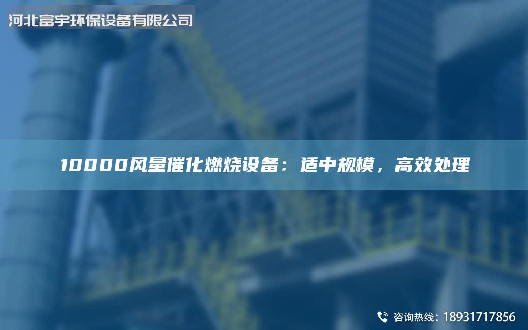10000风量催化燃烧设备：适中规模，高效处理