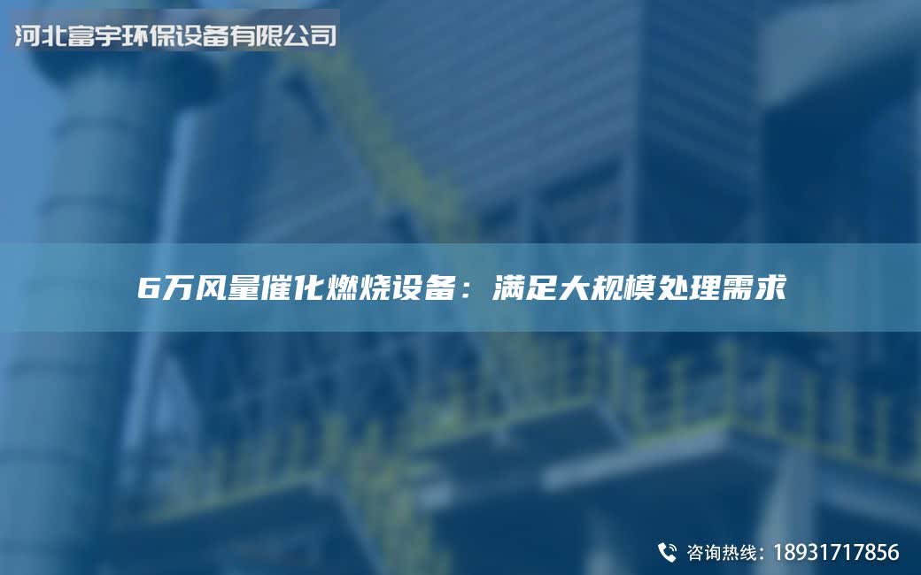 6万风量催化燃烧设备：满足大规模处理需求