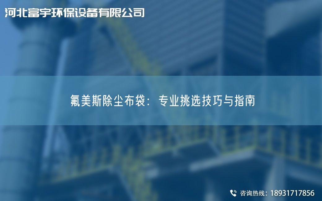 氟美斯除尘布袋：专业挑选技巧与指南