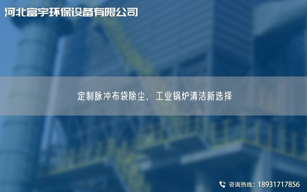 定制脉冲布袋除尘，工业锅炉清洁新选择